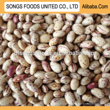 Kidney beans market price